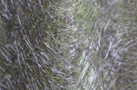 Shenstone Woodend fibreglass roof work